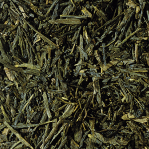 THE VERT SENCHA