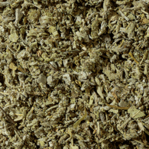 FEUILLES DE SAUGE
