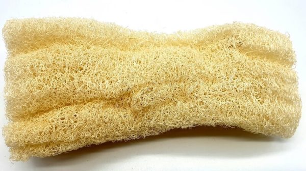 Eponge Loofah